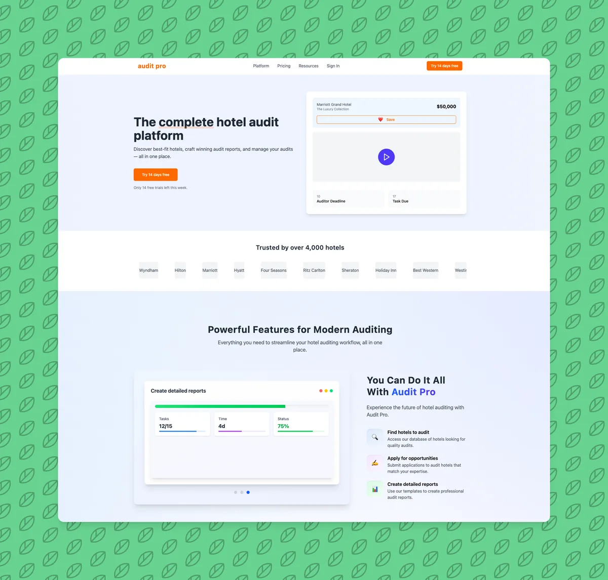 Preview of Audit Pro Theme